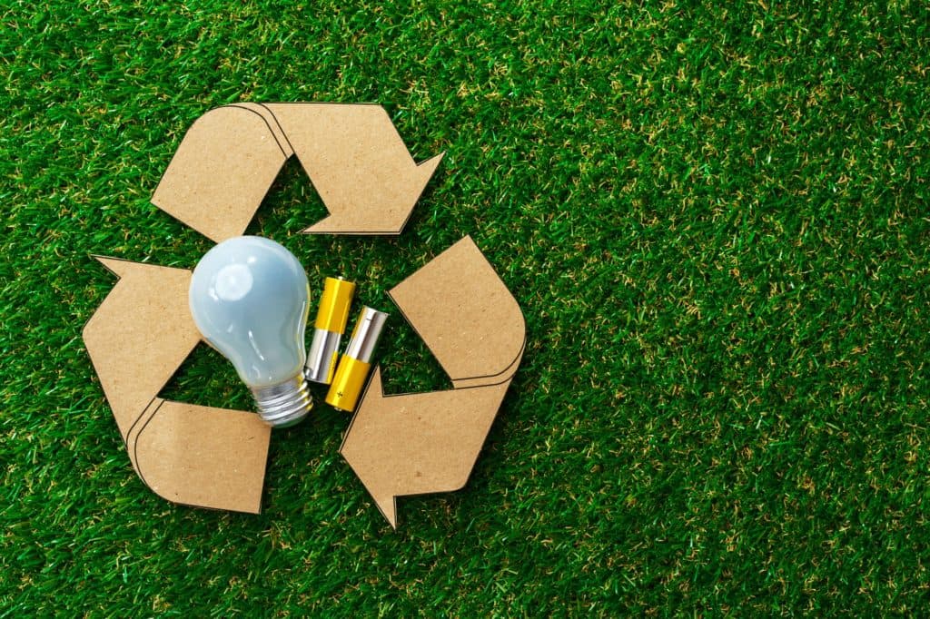 Energy-saving light bulbs on grass